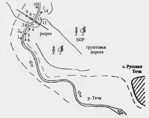 Карта схема контрольных замеров в районе села Русская Теча