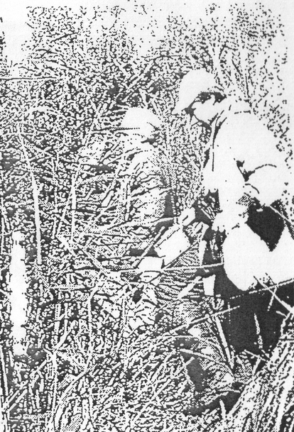 Рабочий день «сталкера» (исследования в районе Асановских болот)